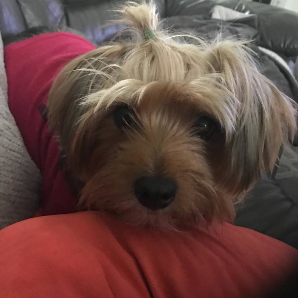 Meet your Posher, Derek